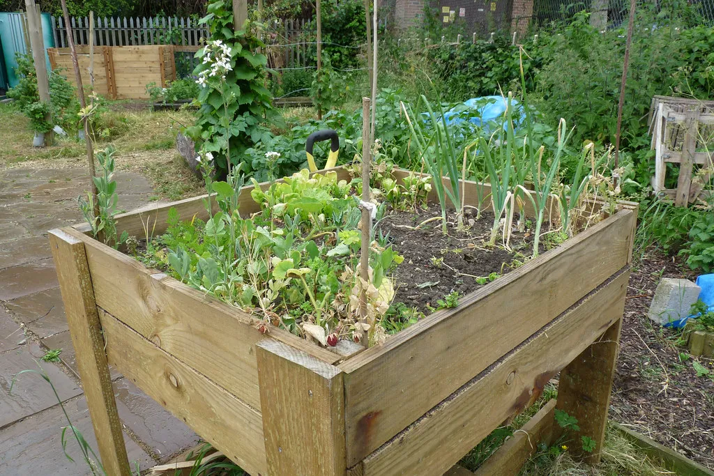 Bac potager surélevé en bois rempli de légumes