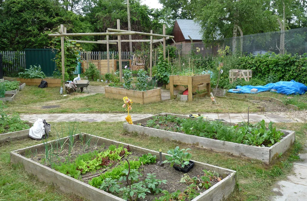 Jardin collectif avec carrés potagers et structures en bois