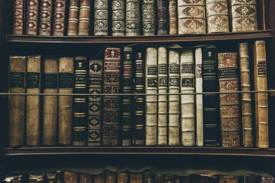 Rangée de livres de droit anciens aux dos reliés de cuir
