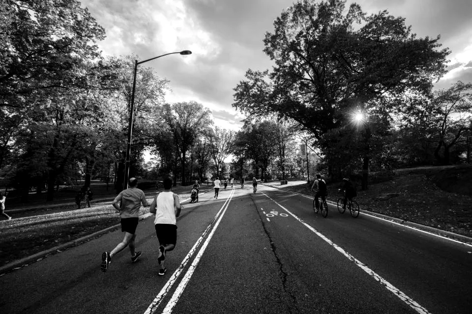 Coureurs sur une allée de parc en automne