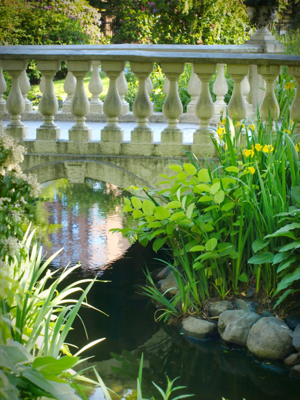 Bassin naturel bordé d'iris et de pierres, sous une balustrade