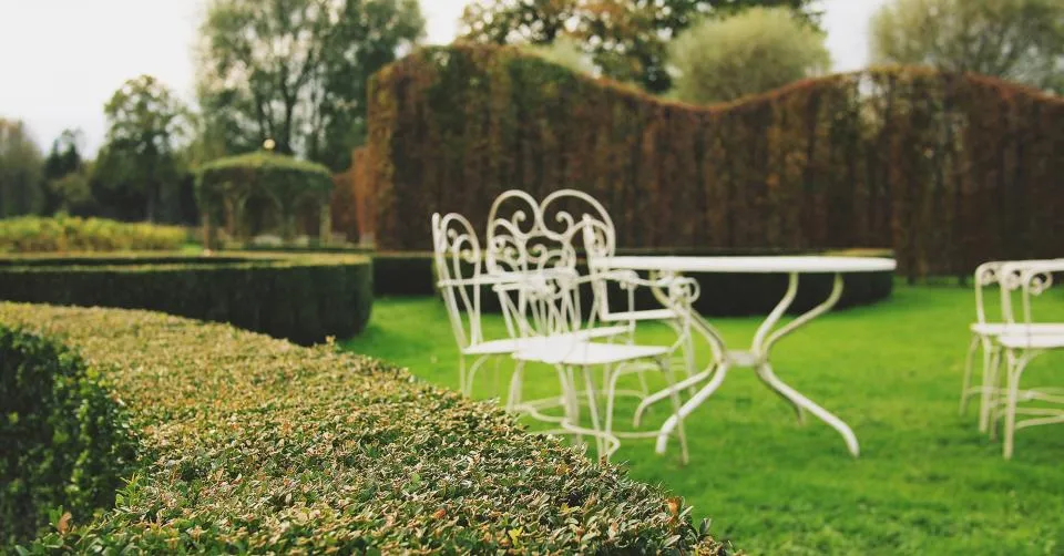 Haie de charme taillée au cordeau et salon de jardin en fer forgé blanc sur la pelouse