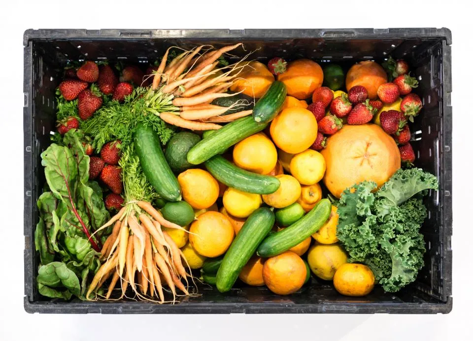 Cagette remplie de légumes et de fruits de saison